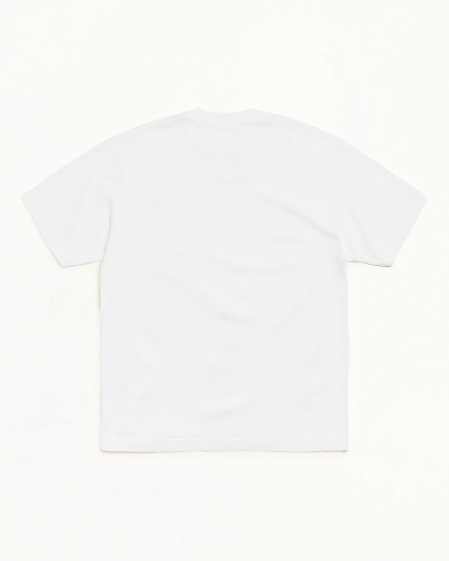 GARMENT DYED SS TEE